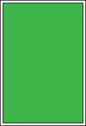 Green Screen Headshot Background